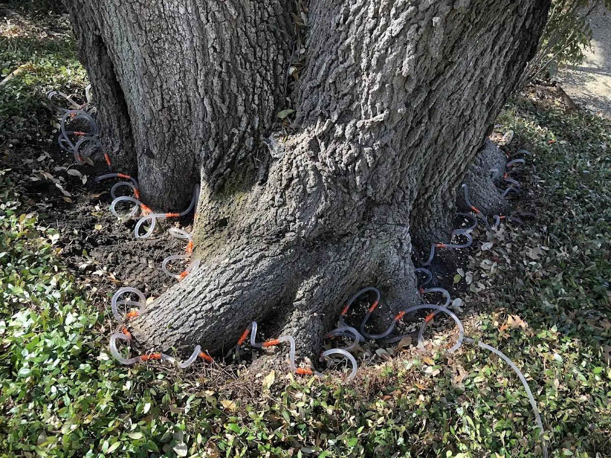 Detailed Shrub and Hedge Trimming job site in Mc Crory