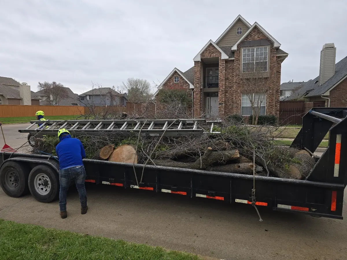 Expert Tree Pest Control with proper safety equipment in Mc Crory